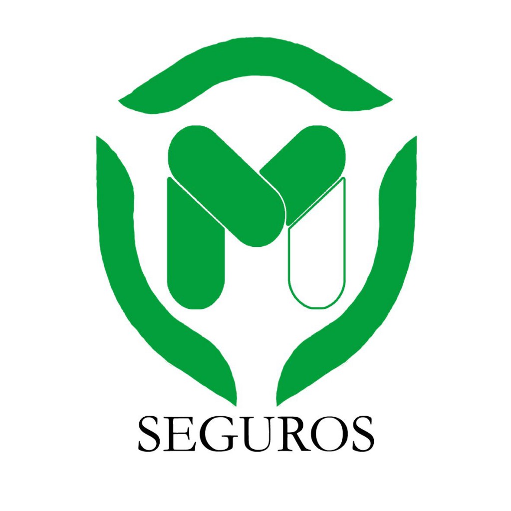 Nancy Marcon Seguros