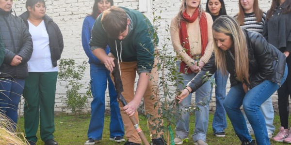 Día del Árbol: realizaron una plantación masiva online